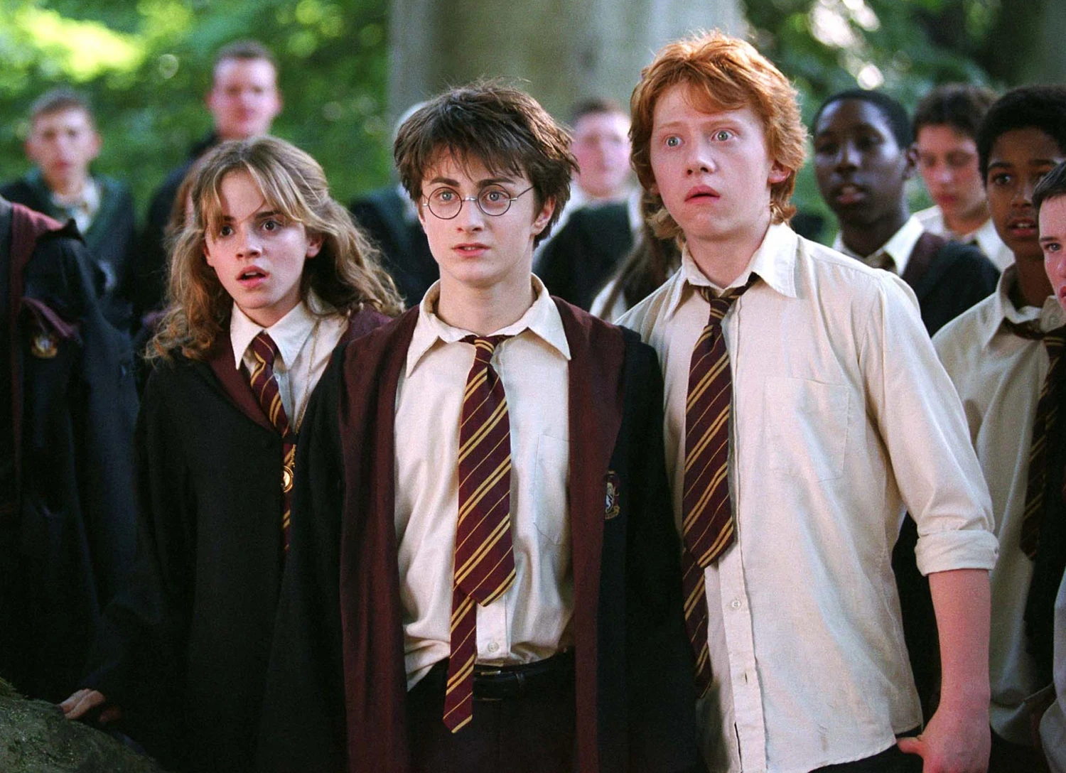 “It’s the best film out of them all, but one of the worst adaptations”: Harry Potter Fans Consider 1 Movie to be Peak Cinema But Potterheads Know it Skimped Through Major Details