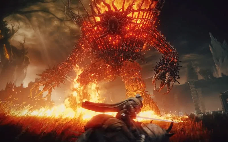 Raging Beast Elden Ring DLC Shadow of the Erdtree's Biggest 'Skill Check' is One ...