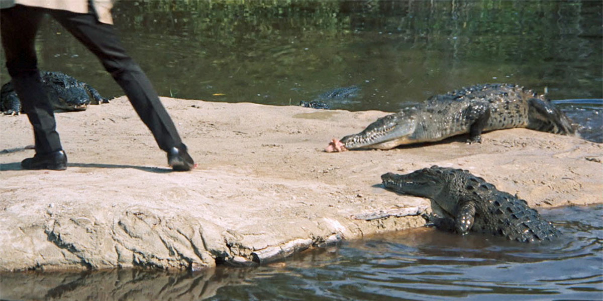 Even Tom Cruise May Think Twice Before This Stunt, One James Bond Stunt Including Real Crocodiles is Horrifying to Watch