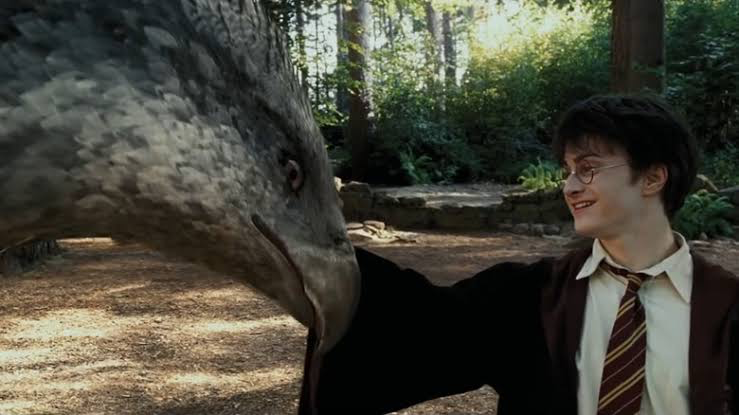 Daniel Radcliffe’s Harry with Buckbeak in Harry Potter and the Prisoner of Azkaban