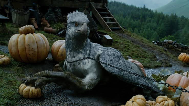 Buckbeak the Hippogriff in Harry Potter and the Prisoner of Azkaban