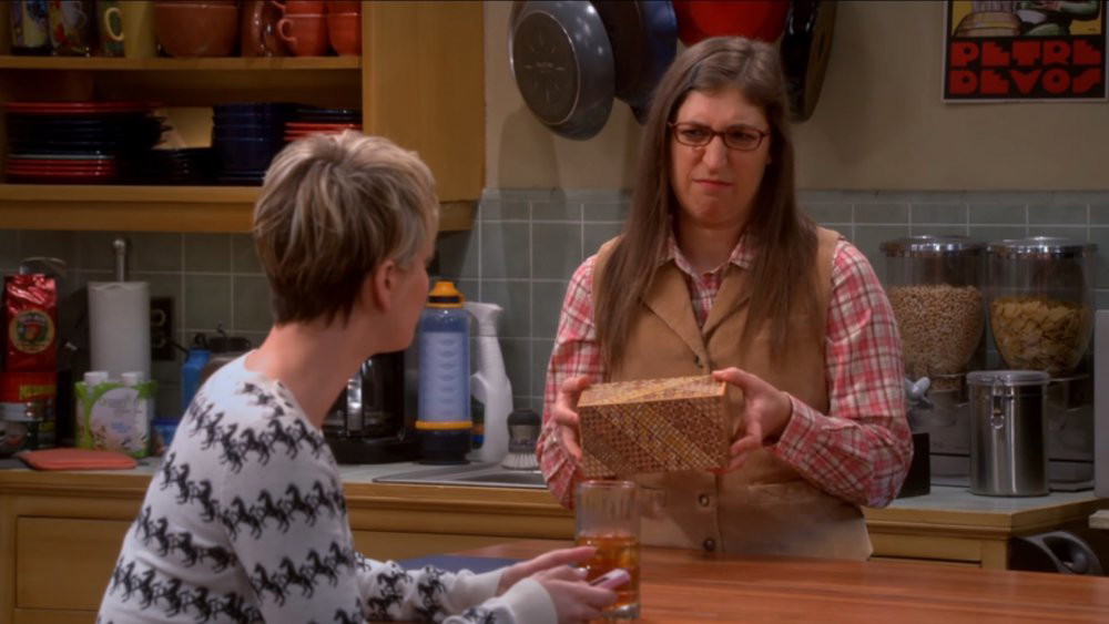 “So condescending and terrible”: The Big Bang Theory Fans Hate One Terrible Season 8 Episode That Made Jim Parsons and Mayim Bialik Become Psychopaths for the Sake of Laughter