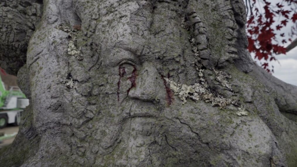 George R.R. Martin's face carved in a tree  in House of the Dragon
