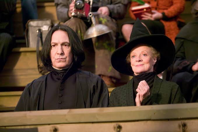 Professor Snape and McGonagall at a Quidditch match 