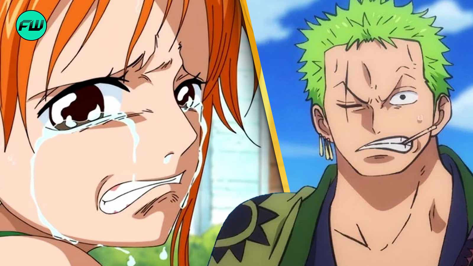 Nami, Zoro