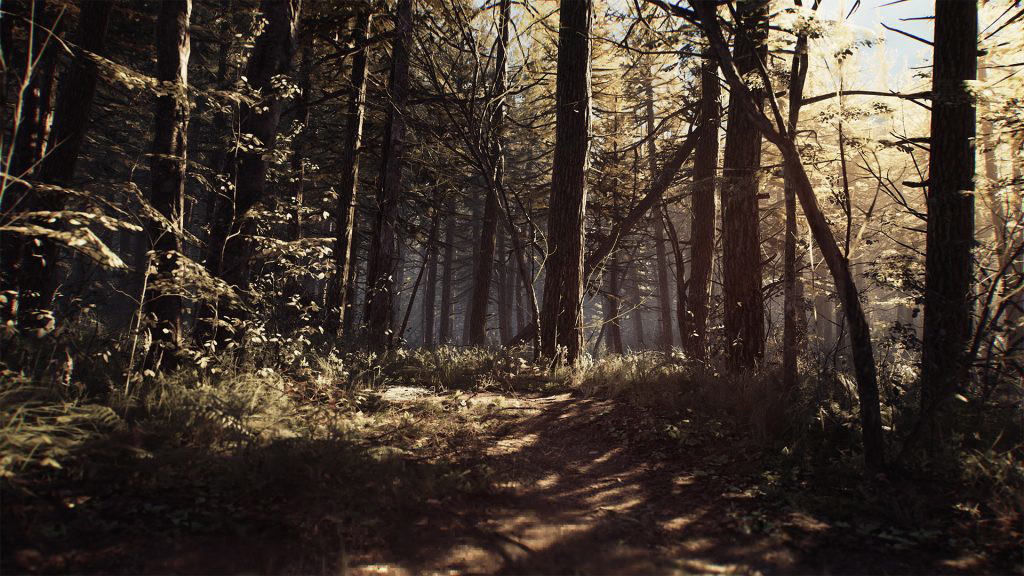 A screenshot of Blair Witch showing the game world.