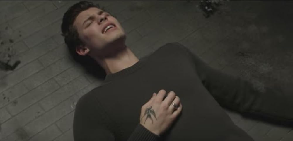 Singer Shawn Mendes in In My Blood music video 