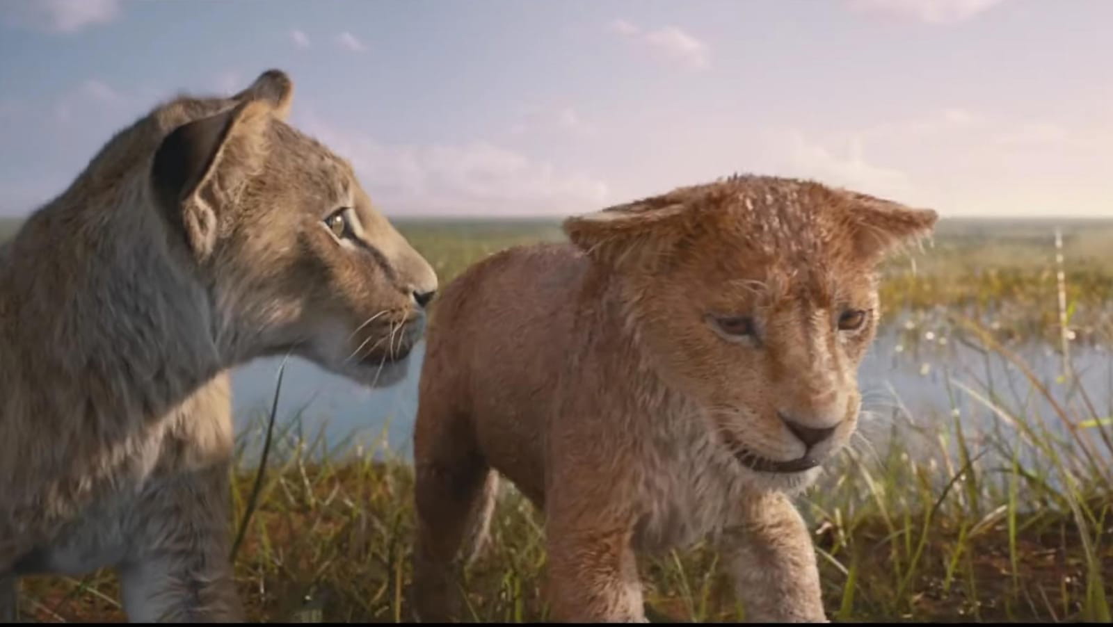 “Scar gonna end up being the good guy”: Disney’s ‘Mufasa: The Lion King’ is Facing Same Accusations as ‘The Acolyte’ Over 1 Confusion That Could Kill the Film