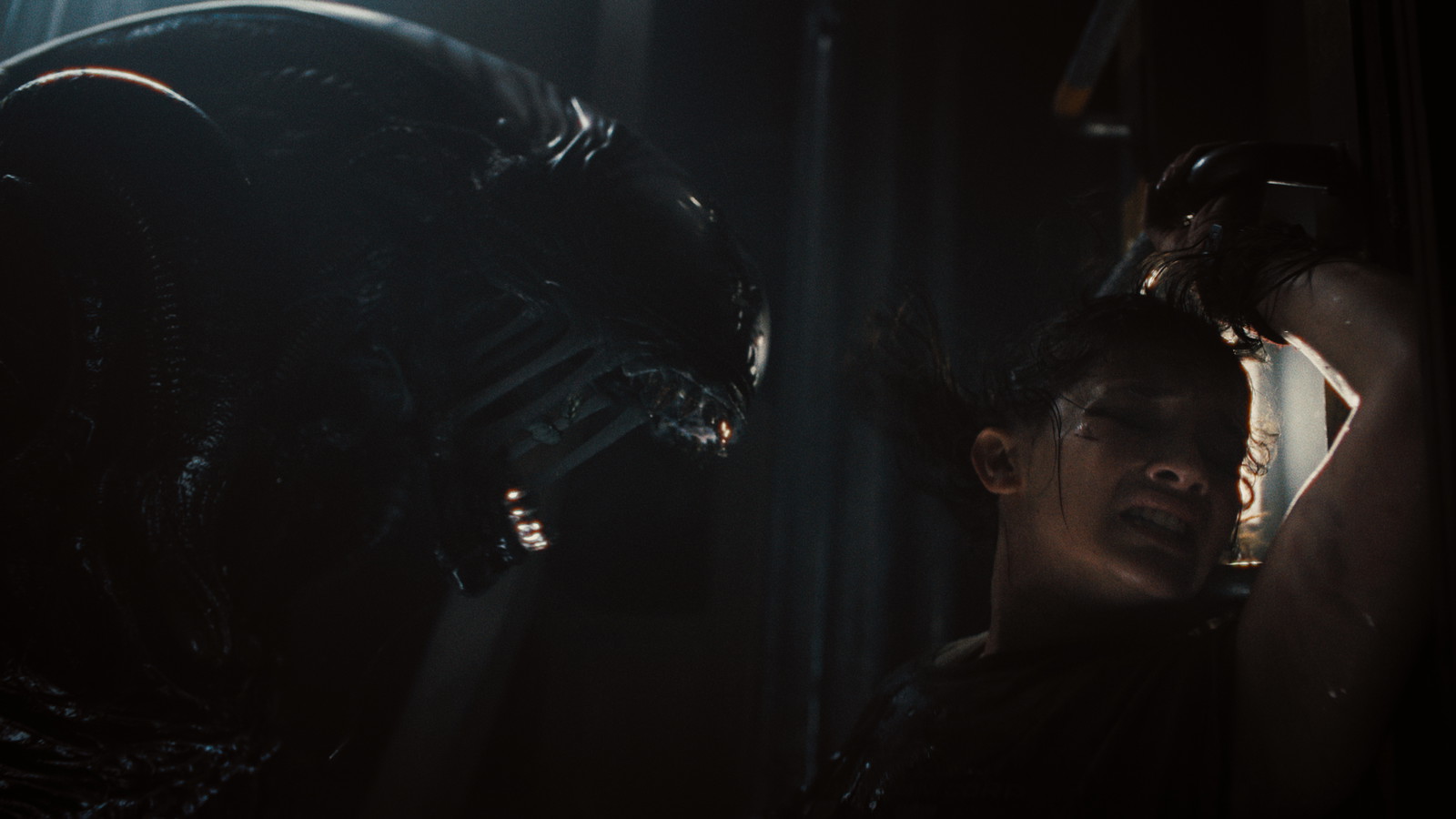 “You are going to be covered in blood, you can’t get claustrophobic”: Alien: Romulus Actor Was Warned About the Torturous Process She Would Go Through Before Her Casting in Her Biggest Role Yet