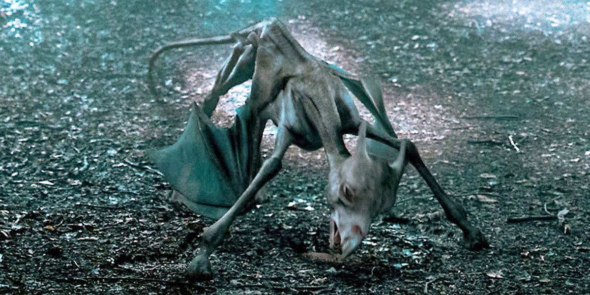 Mind-Blowing Detail in 1 ‘Harry Potter and the Order of the Phoenix’ Scene Involving an Invisible Creature is Something Even the Biggest Fans Missed