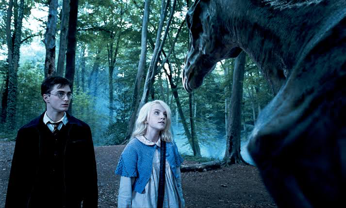 Harry Potter and Luna Lovegood | Image: Warner Bros. 