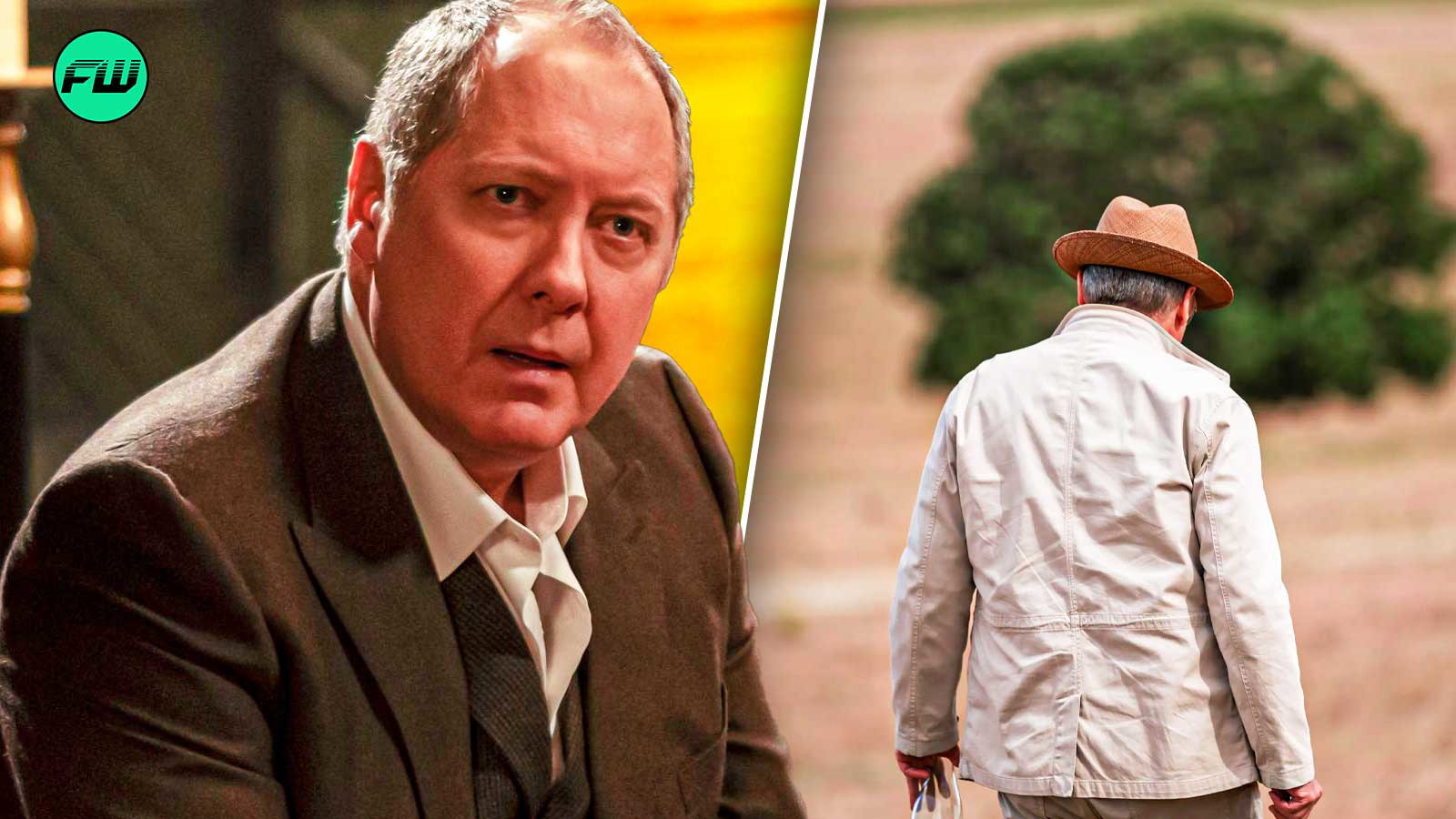 james spader in the blacklist