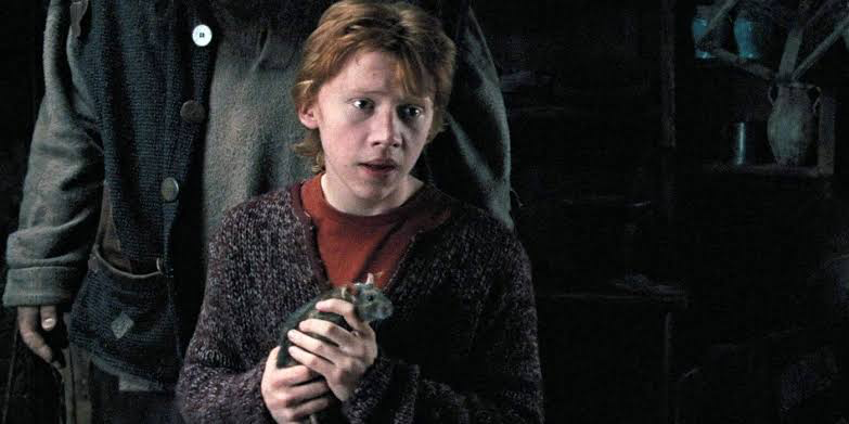 “They make him seem so much more annoying”: The Best Harry Potter Movie Did 1 Fan-Favorite Character So Dirty That it’s Unbelievable J.K. Rowling Let it Slide