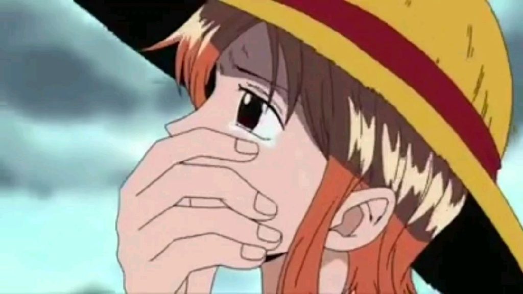 nami asking luffy more help