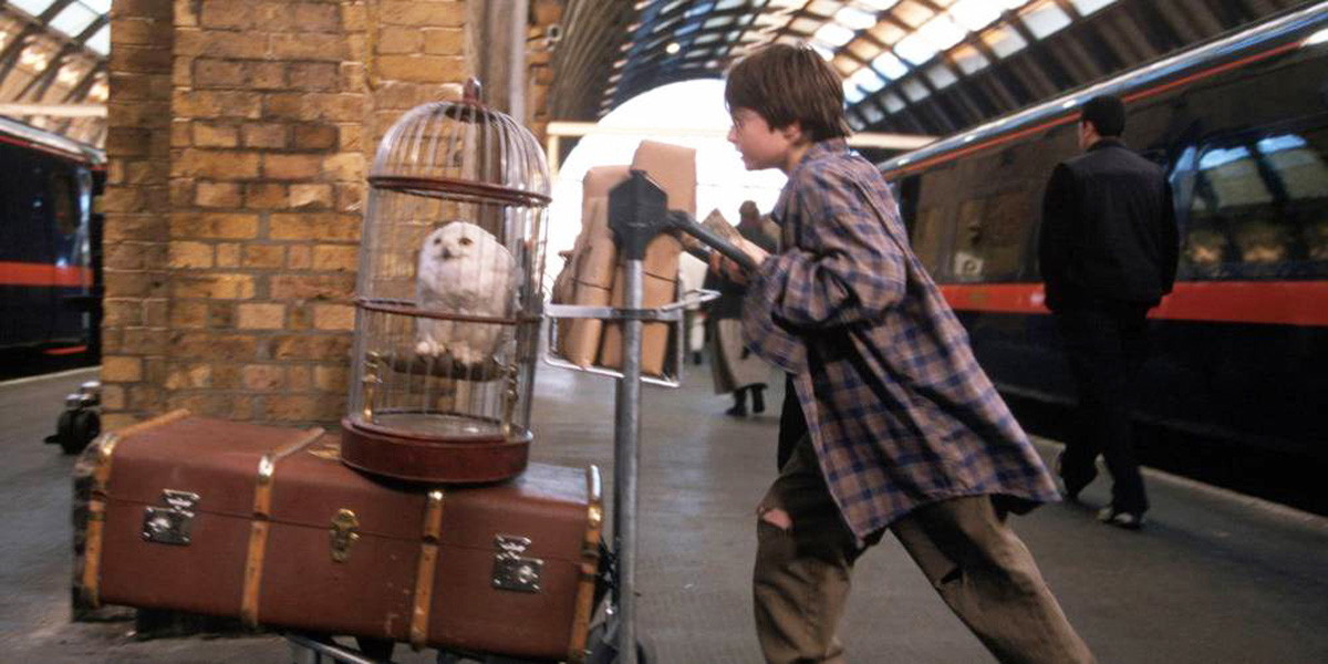 “Harry Potter Fans Face the Worst Disappointment After Failing to Heed Announcement That “Strongly discouraged” Them From Gathering at This Iconic Filming Location