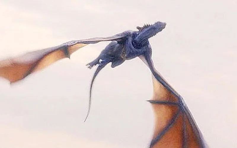 tessarion house of the dragon