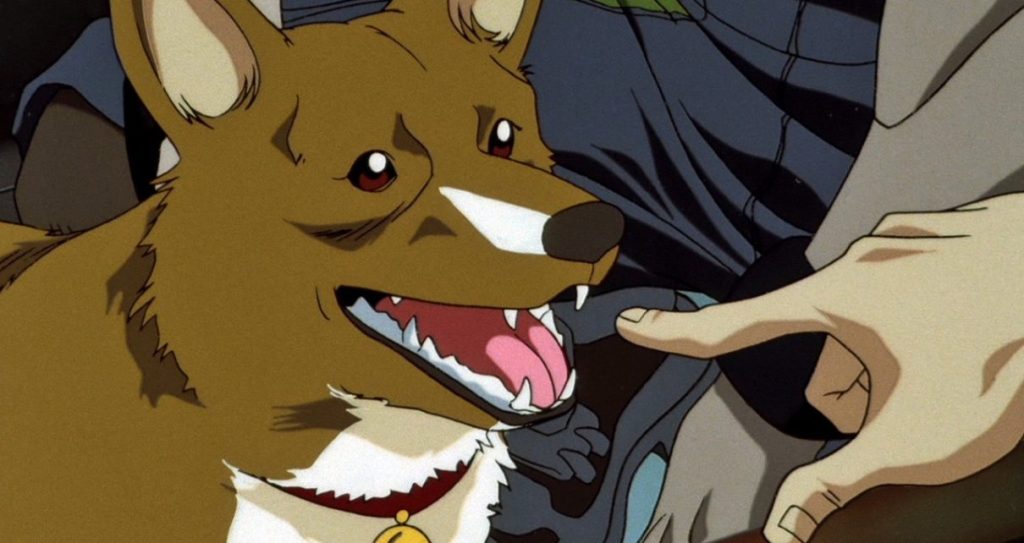 Ein from Cowboy Bebop