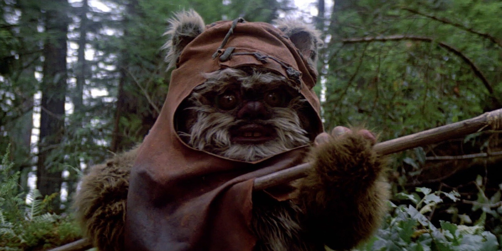 After 41 Years, It’s Time You Know a Disturbing Fact about Ewoks That Makes Them Scarier Than the Sarlacc: George Lucas Didn’t Disclose it For a Reason