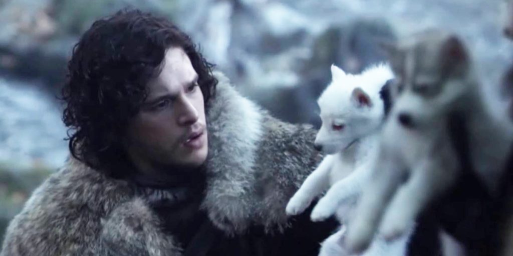 kit-harington-direwolf-game-of-thrones