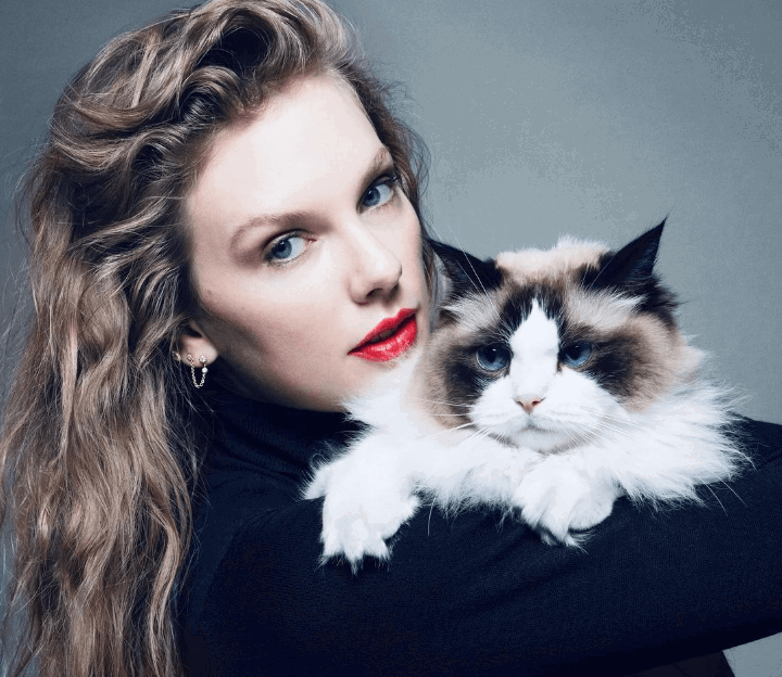 Childless Cat Lady Taylor Swift Can’t Support Donald Trump After His “They’re Eating the Pets” Statement, Endorses Kamala Harris After Watching the Heated Debate