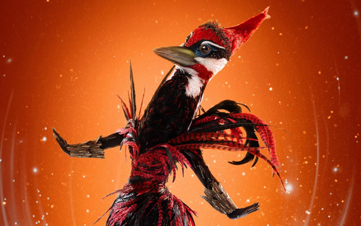 The Masked Singer: Who Are Woodpecker, Showbird and Ship?