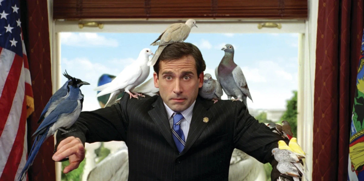 Steve Carrell’ 24% Rated Movie is One of the Biggest Box-Office Bombs That The Office Star Would Like to Erase from Existence