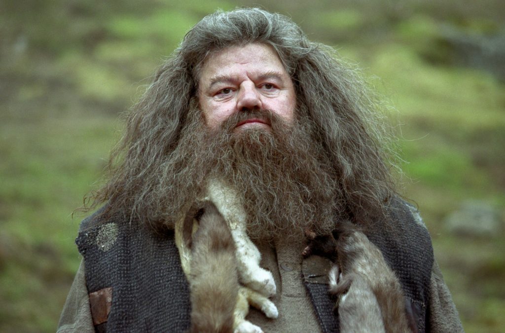 Robbie Coltrane in Harry Potter and the Prisoner of Azkaban