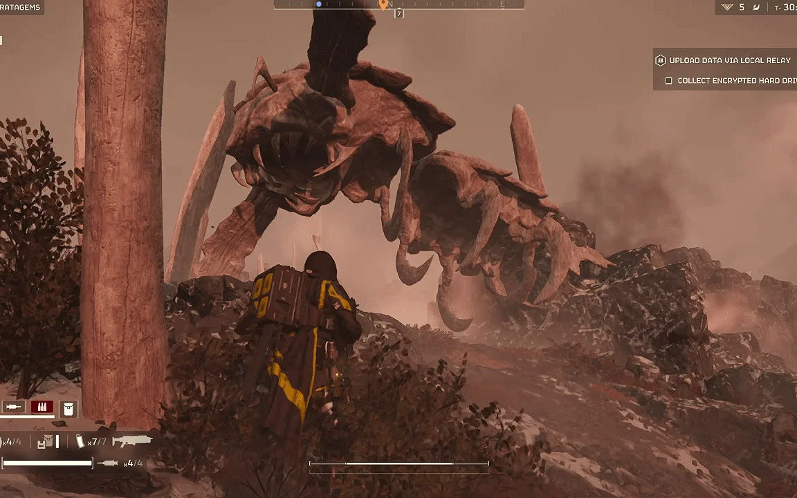 Terminid Small A Recent Helldivers 2 Leak Hints at the Return of a Fan-Favorite Unit ...