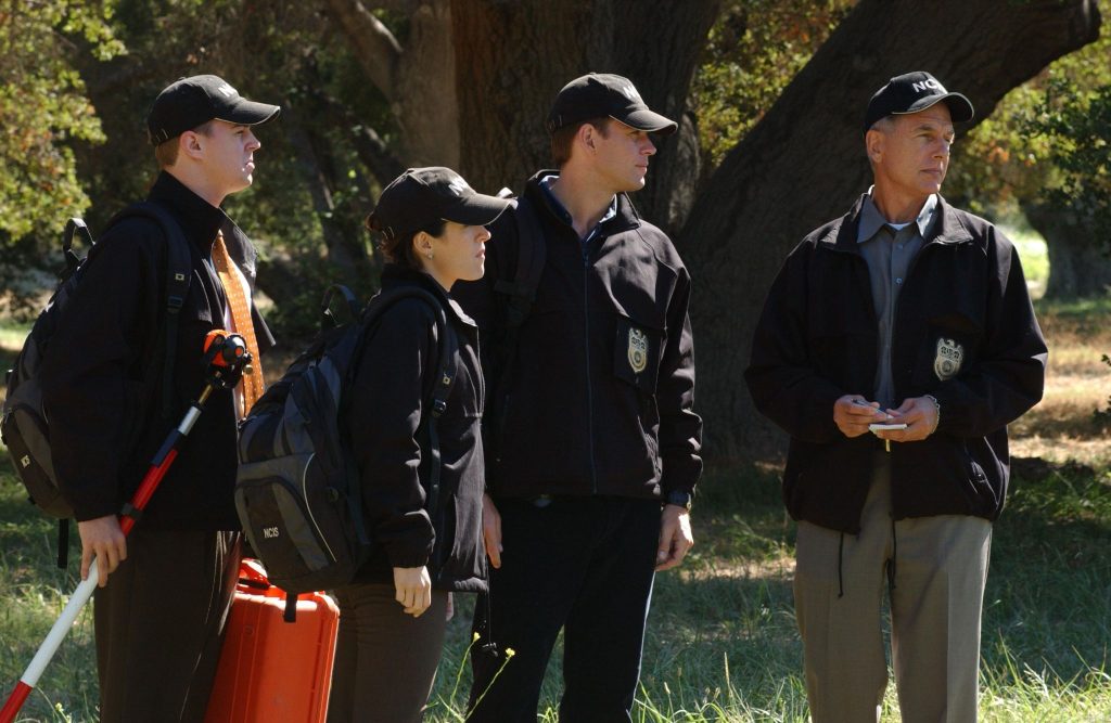 ncis one