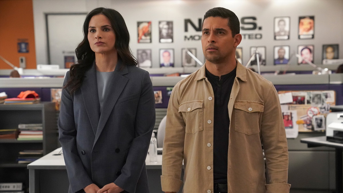 5 Incredible Feats. NCIS Has Achieved Over Its 22-Season Run