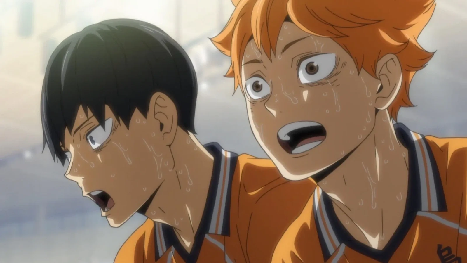 Haruichi Furudate was Not Happy When Haikyuu was Picked Up for Serialization Because it was “the beginning of the ending”