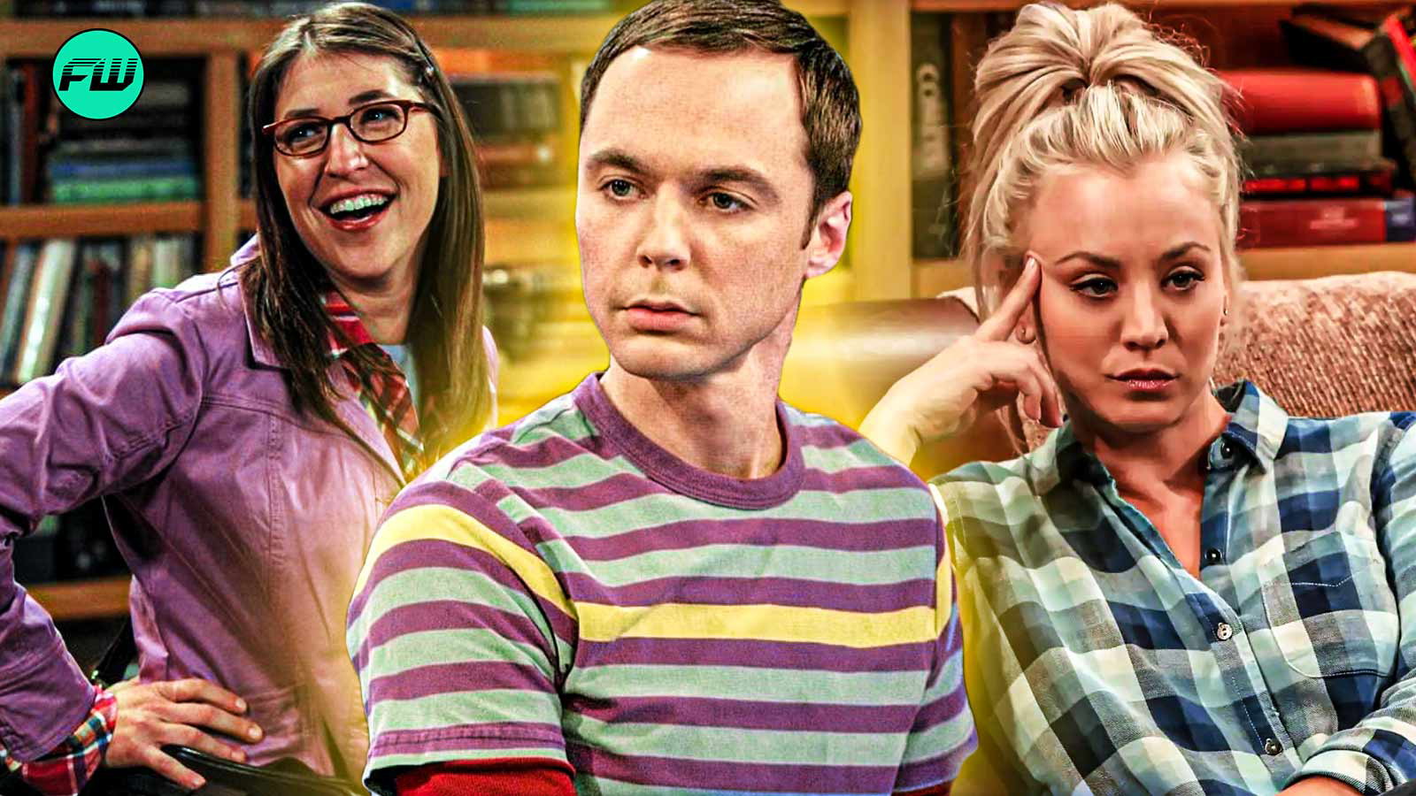 The Big Bang Theory Cast: Who Made the Most Money on the Show?