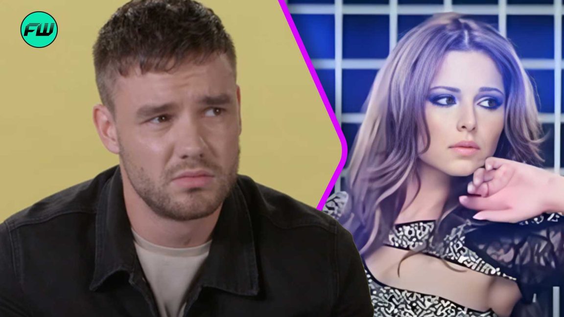 Liam Payne Blamed Himself For Breakup With Cheryl Cole, Still Respected