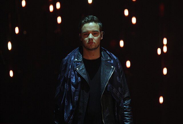 Liam Payne in the German-language show Wetten, dass..? in 2014.