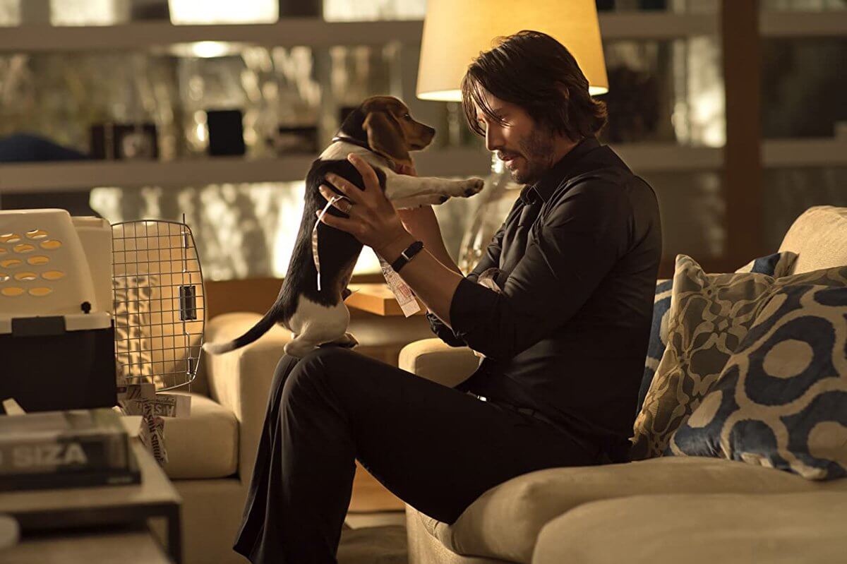 “We were told, ‘It’s bad luck'”: Keanu Reeves Made John Wick 1 Kill the Puppy, OG Script Had an Alternate Story