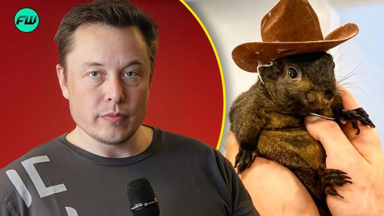 “The government is a mindless and heartless killing machine”: Why Was Peanut the Squirrel Euthanized, Elon Musk is Not the Only One Who is Pissed