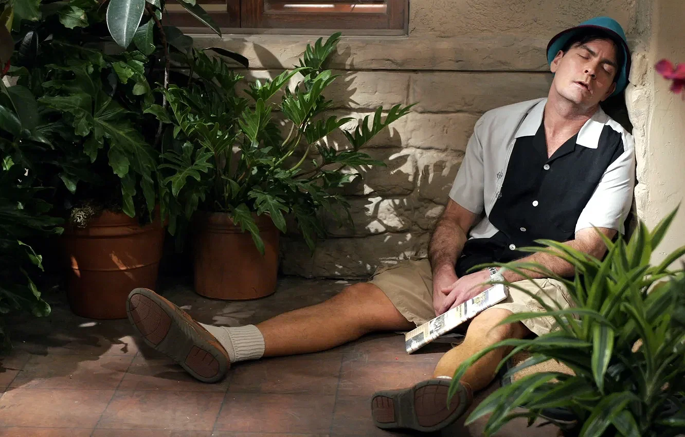 Charlie Sheen as Charlie Harper in Two and a Half Men