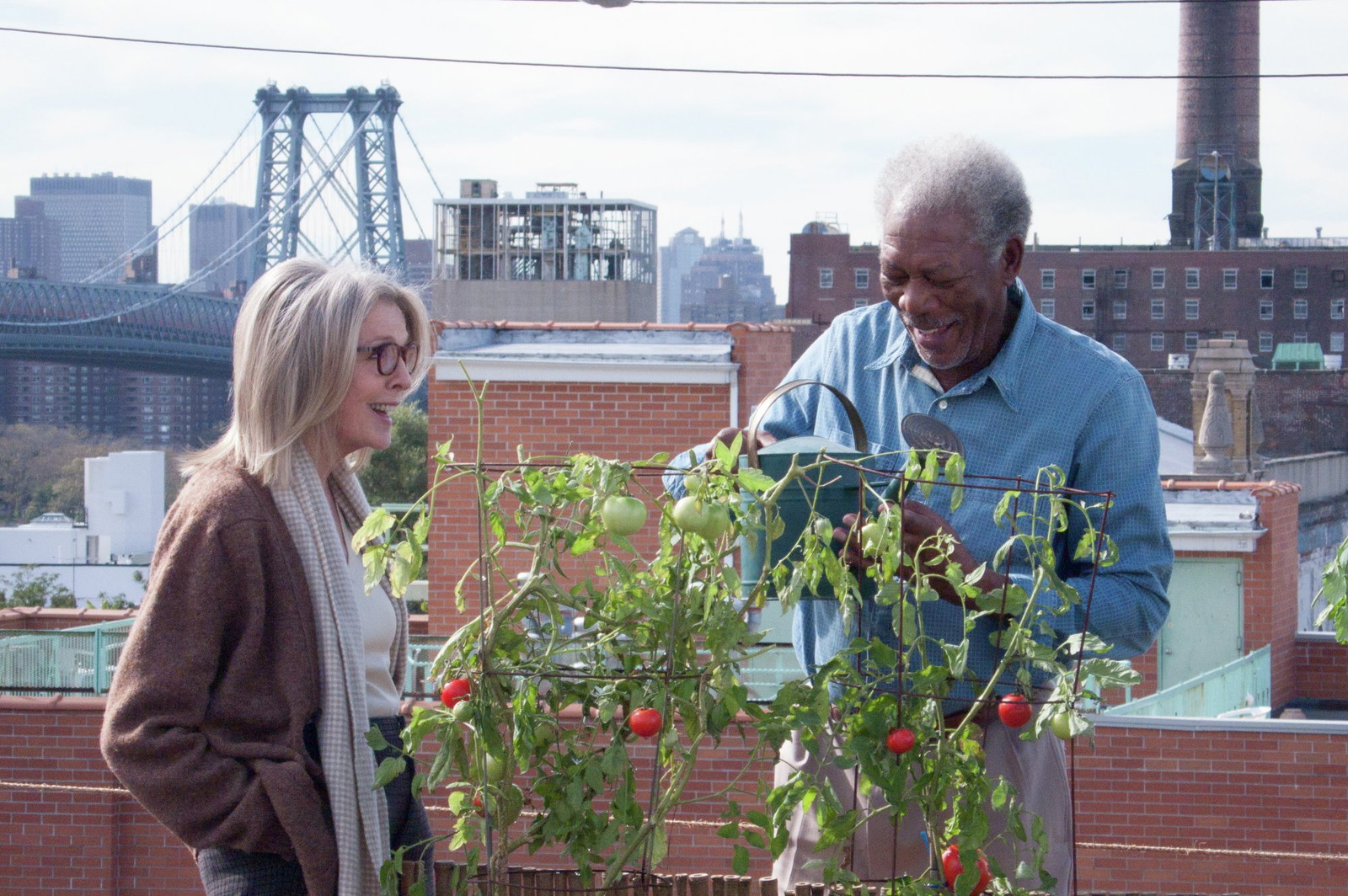 Diane Keaton Wanted to be the Woman With Most Kisses in Movies But She Could Never Forget Her Kiss With Morgan Freeman