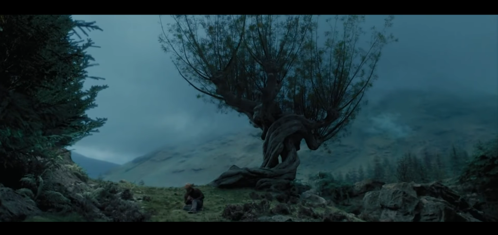 The Whomping Willow in Harry Potter and The Chamber of Secrets.