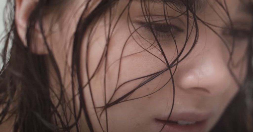 hailee steinfekd