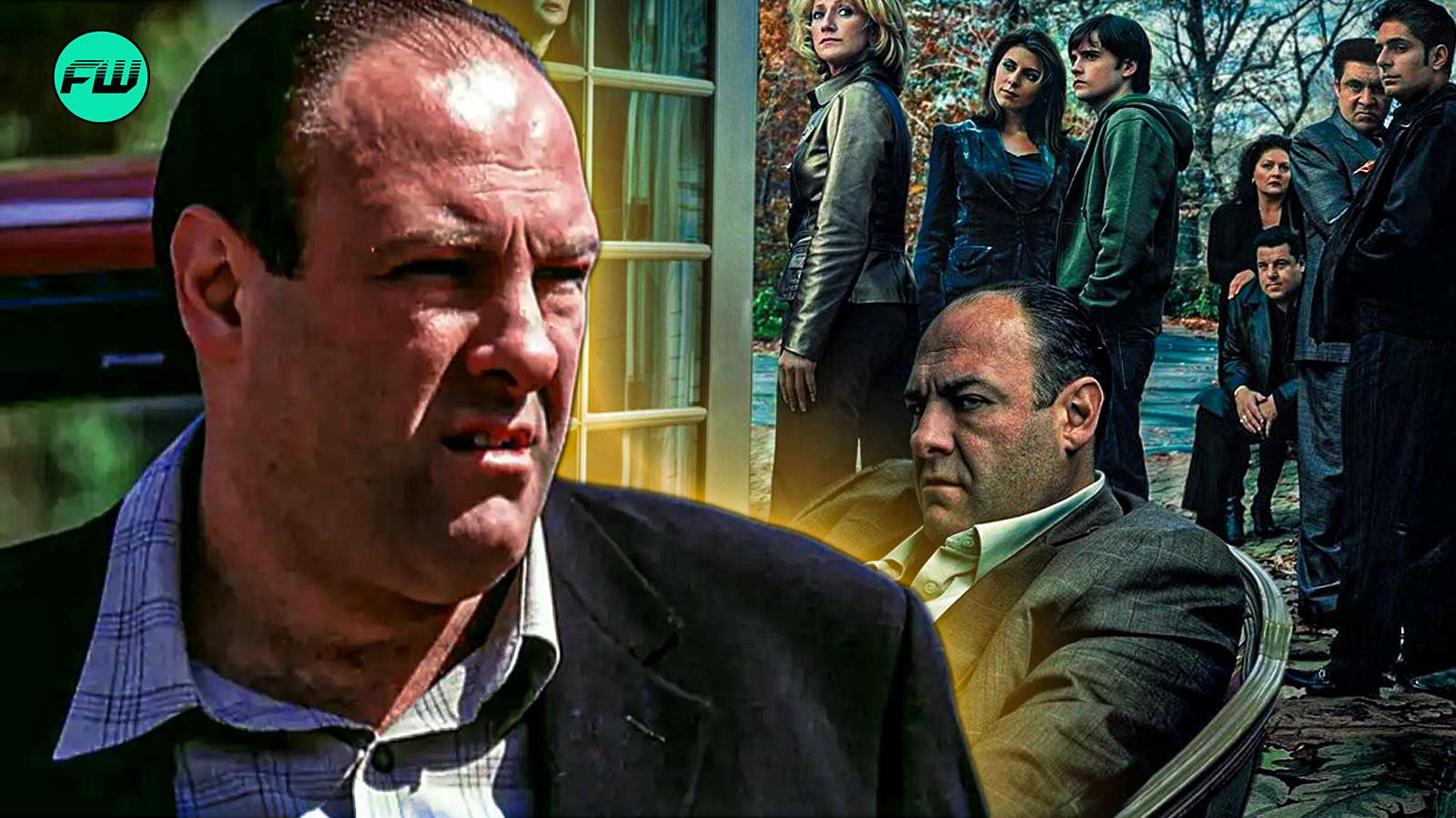 “She was still 35 pounds thinner”: The Sopranos Star Who Appeared in 72 Episodes Battled a Serious Medical Issue Since Episode 1