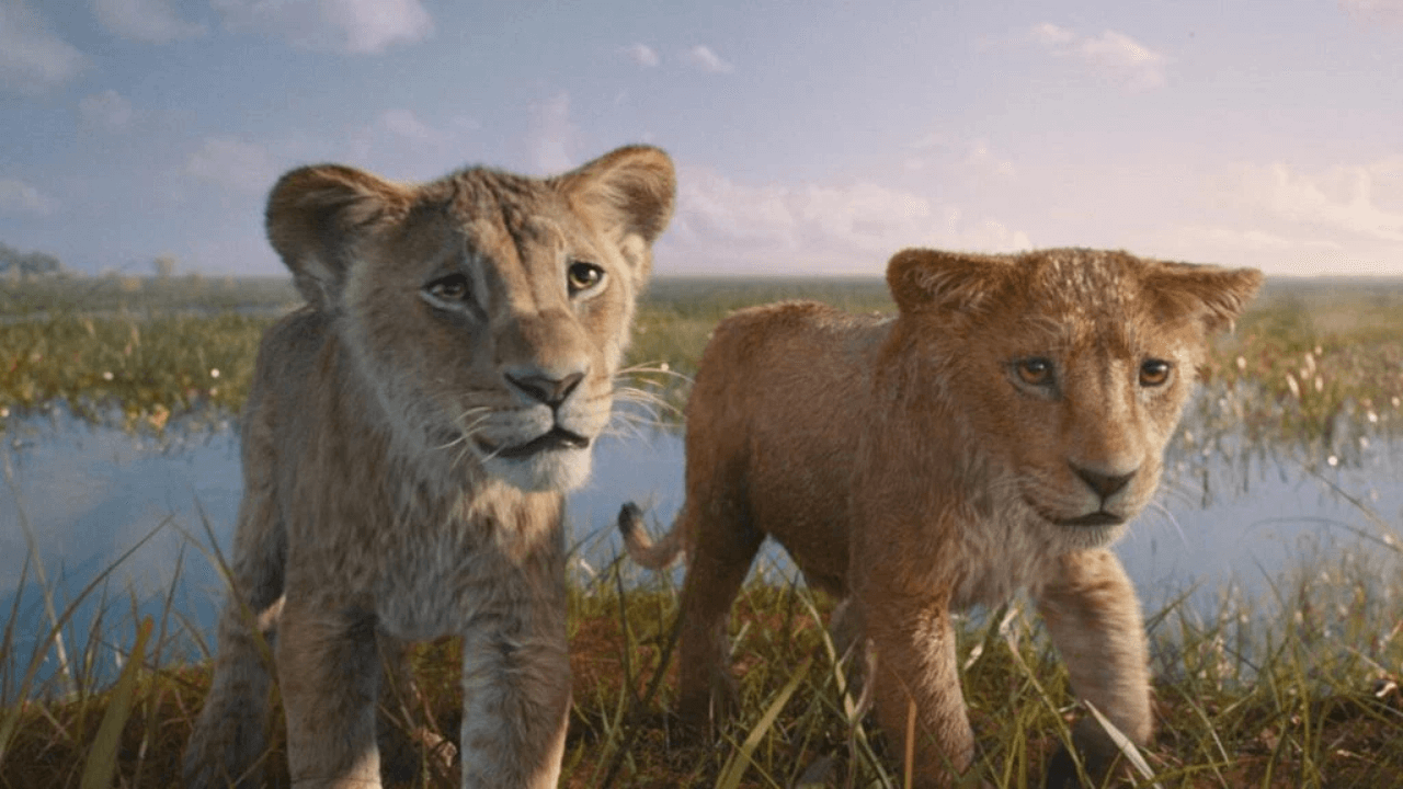 ‘He took the job for that Disney cash’: It’s Not Looking Good for ‘Mufasa: The Lion King’ After Barry Jenkins’ Sad Reveal