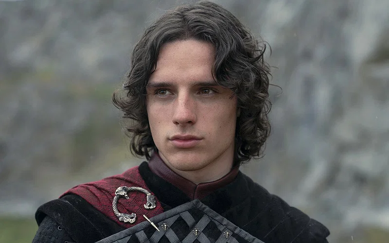 10 Ways House of the Dragon Season 3 Can Surpass A Knight of the Seven Kingdoms 56 harry collett house of the dragon