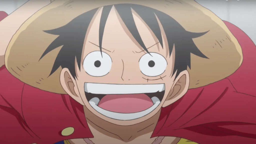 The protagonist of One Piece, Monkey D. Luffy.