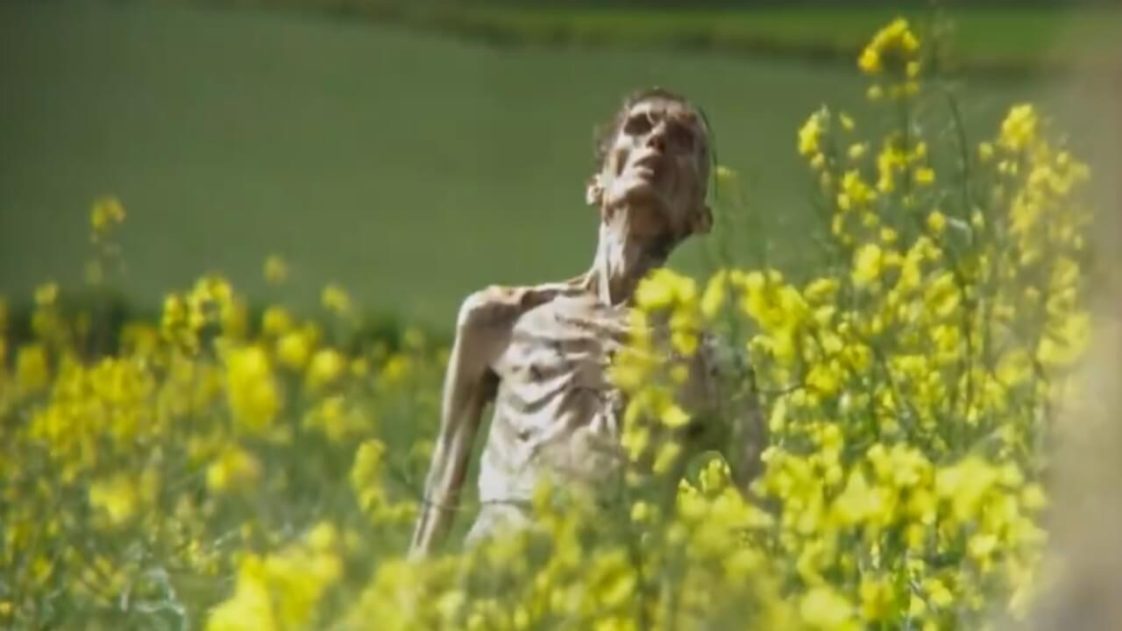 Who Is Angus Neill? Model Claims He’s the Skeletal Zombie in 28 Years ...