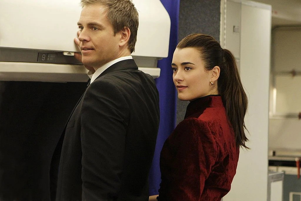 Cote de Pablo and Michael Weatherly