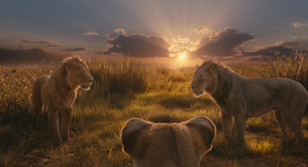  THE LION KING. Photo courtesy of Disney. © 2024 Disney Enterprises Inc. All Rights Reserved.