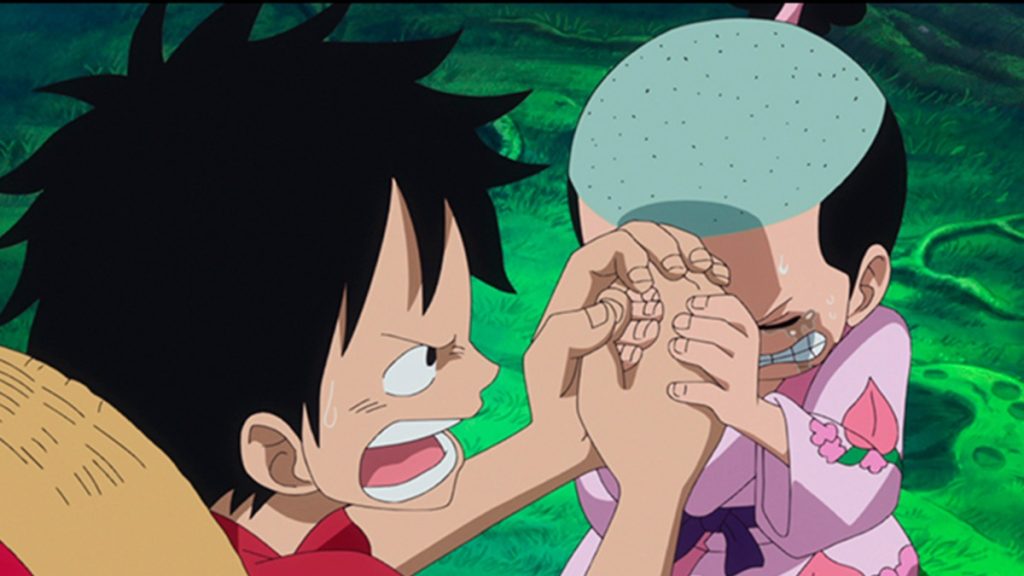 Luffy and Momo 