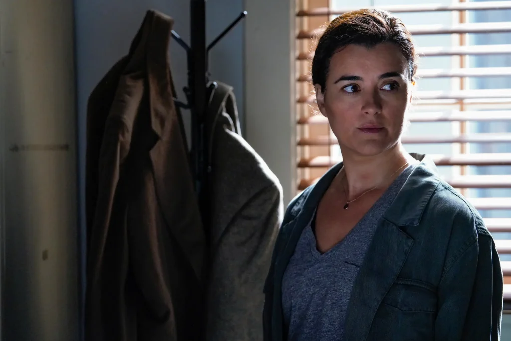 Cote de Pablo as Special Agent Ziva David in NCIS