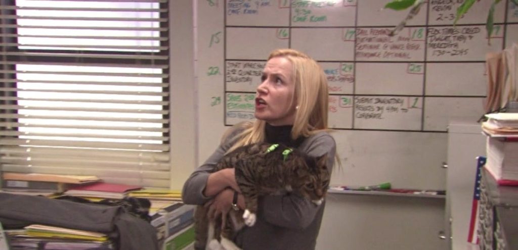 Angela Kinsey in a still from The Office | image: NBC